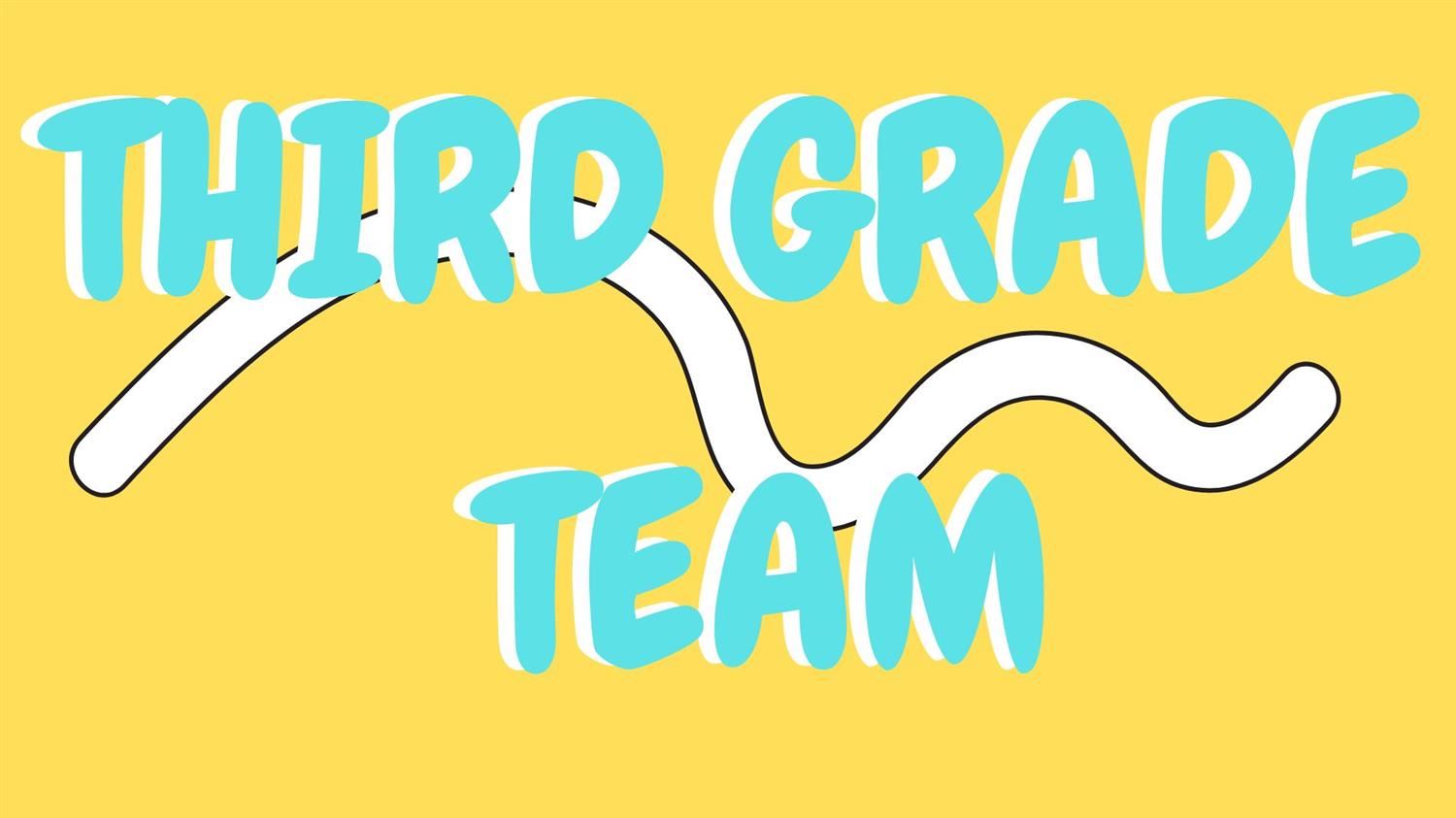 Third Grade Team 